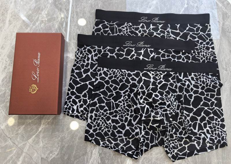 LP boxer L-4XL 062206